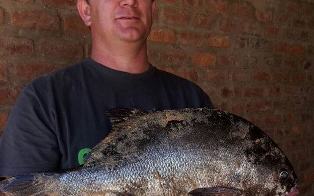 Arno met sy wen-galjoen